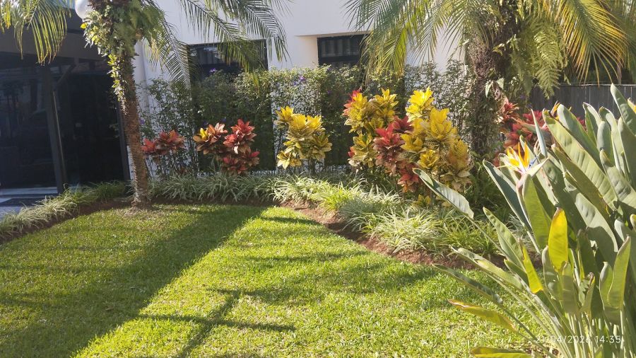 Apartamento - Aluguel - Chácara Santo Antônio (zona Sul) - São Paulo - SP